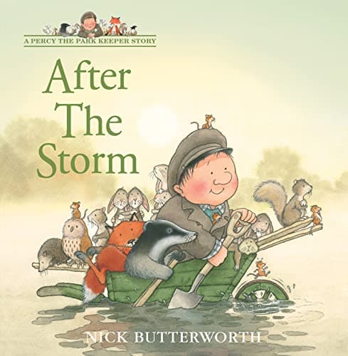 After the Storm book cover