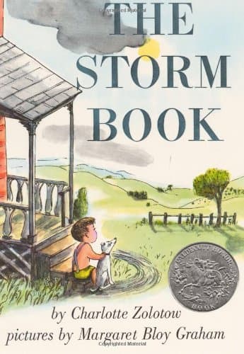 The Storm Book book cover