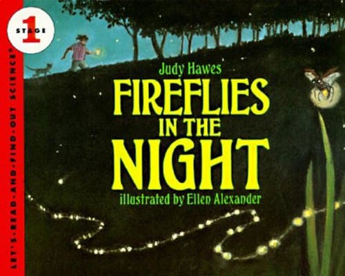 Fireflies in the Night book cover
