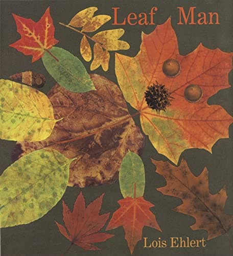 Leaf Man book cover