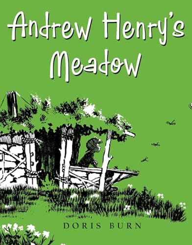 Andrew Henry's Meadow book cover