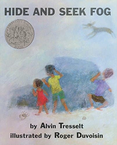Hide and Seek Fog book cover
