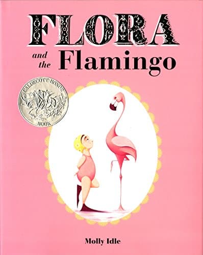 Flora and the Flamingo book cover
