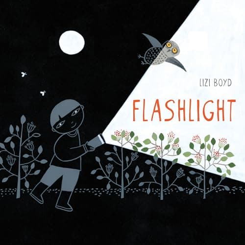 Flashlight book cover
