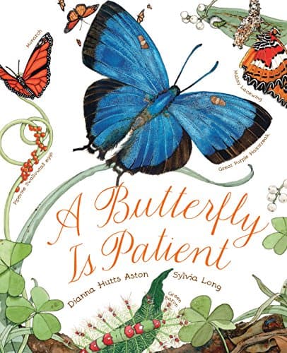 A Butterfly is Patient book cover