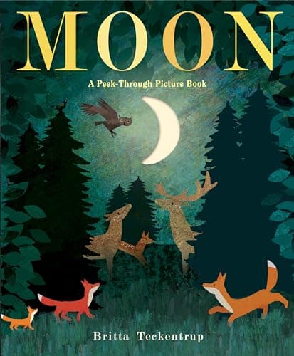 Moon book cover