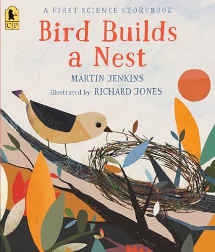 Bird Builds a Nest book cover