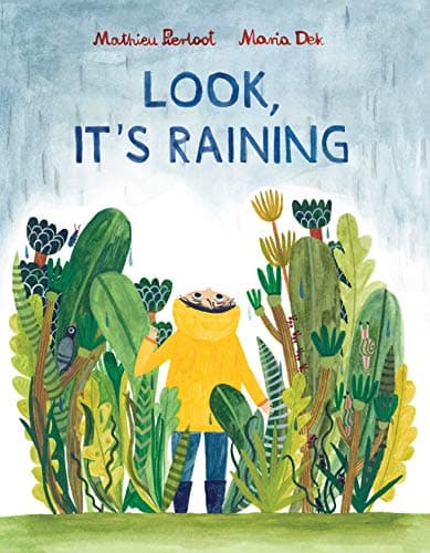 Look, It's Raining book cover
