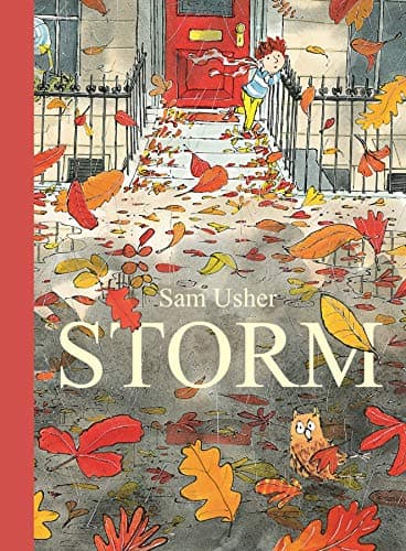 Storm book cover