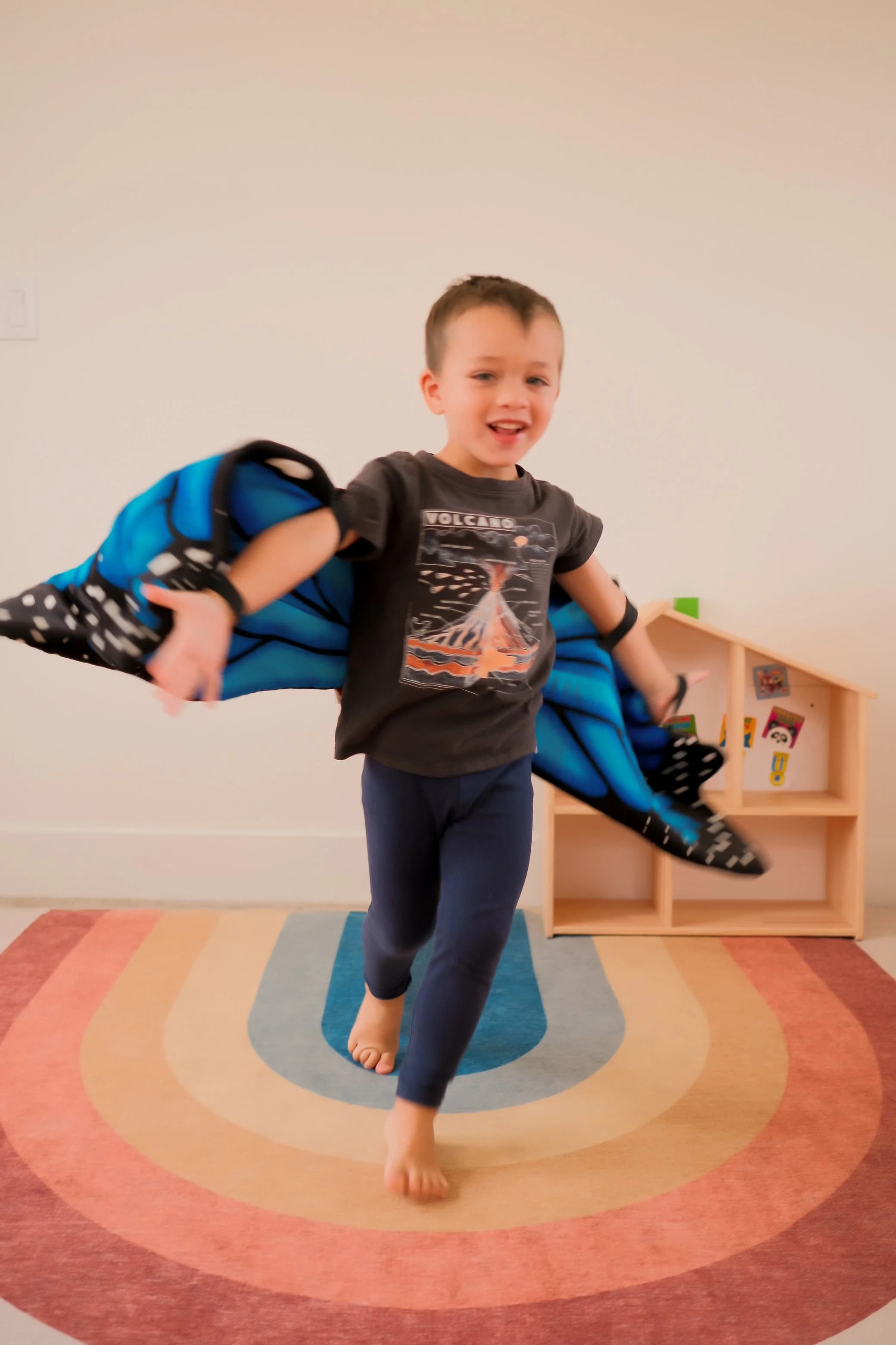 Butterfly Wings