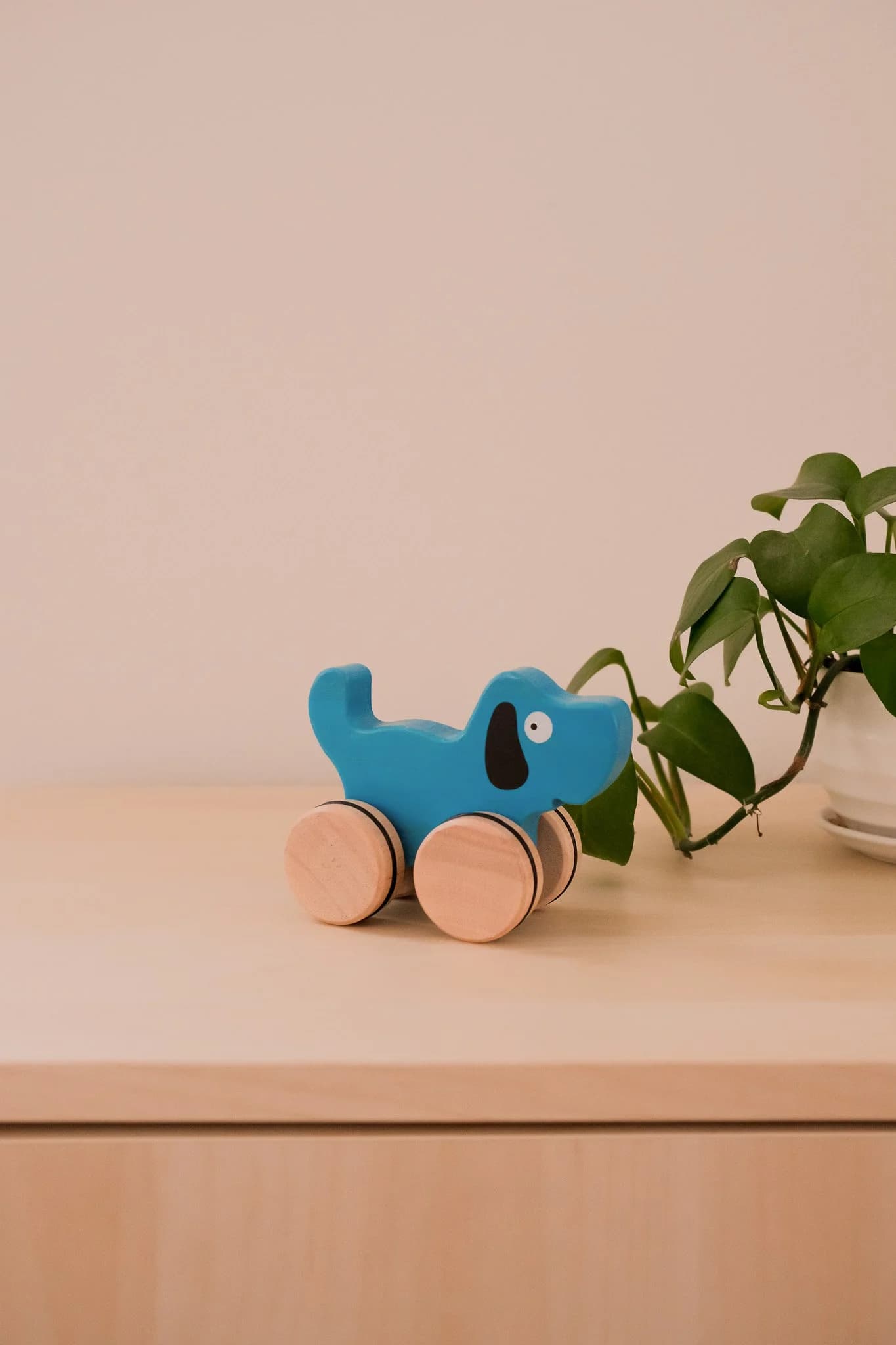 Dog Push Toy