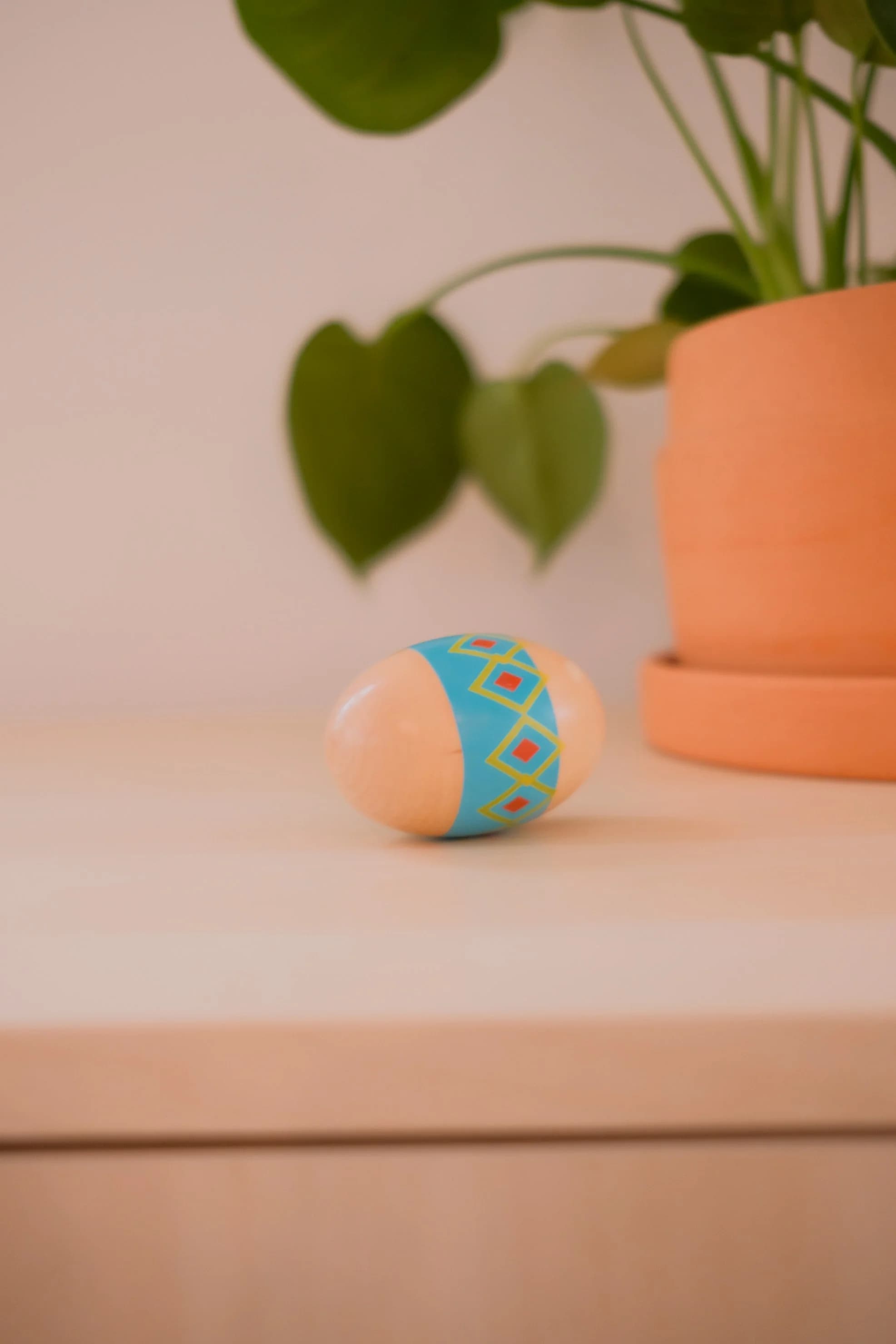 Egg Shakers