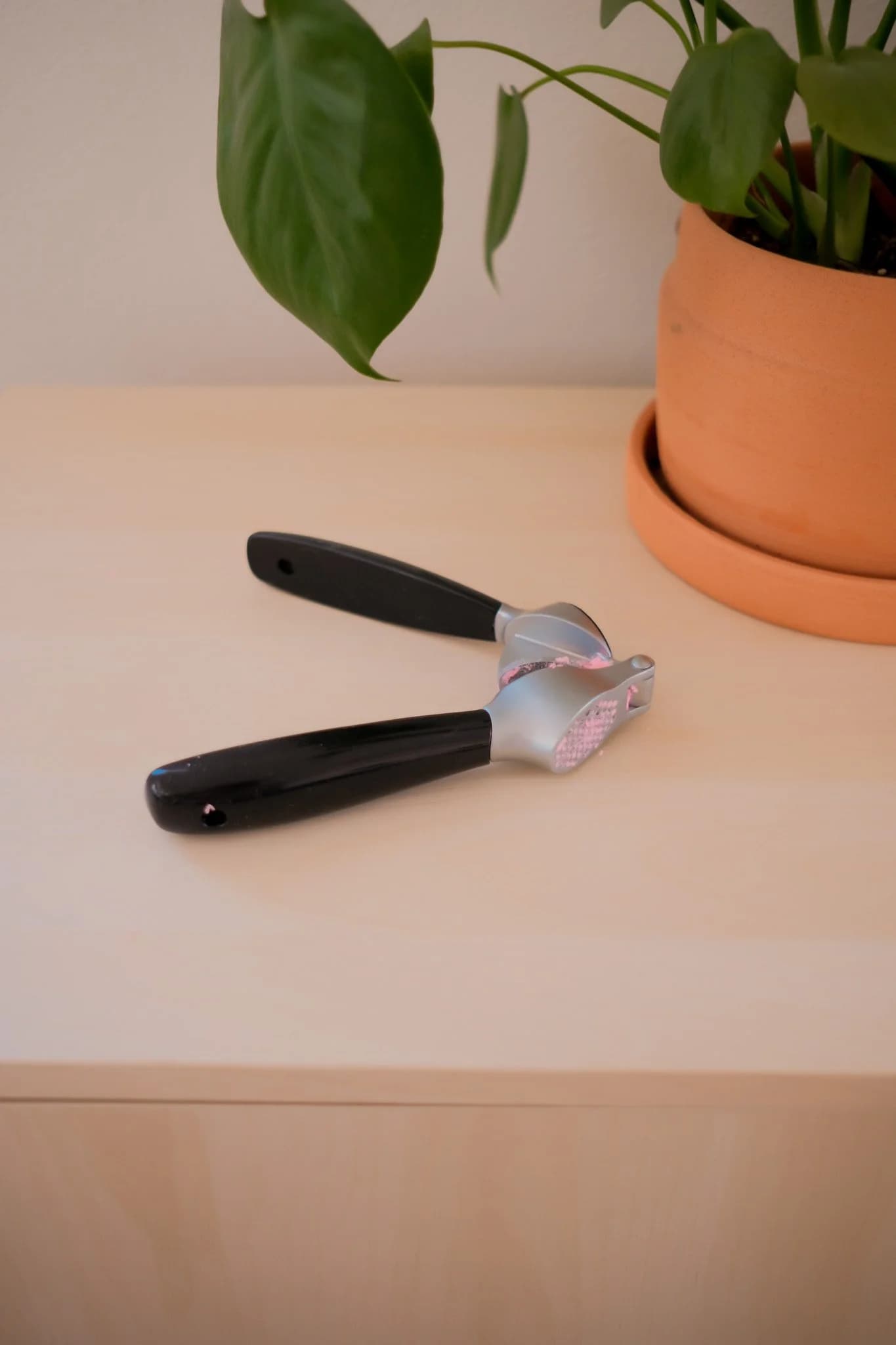 Garlic Press