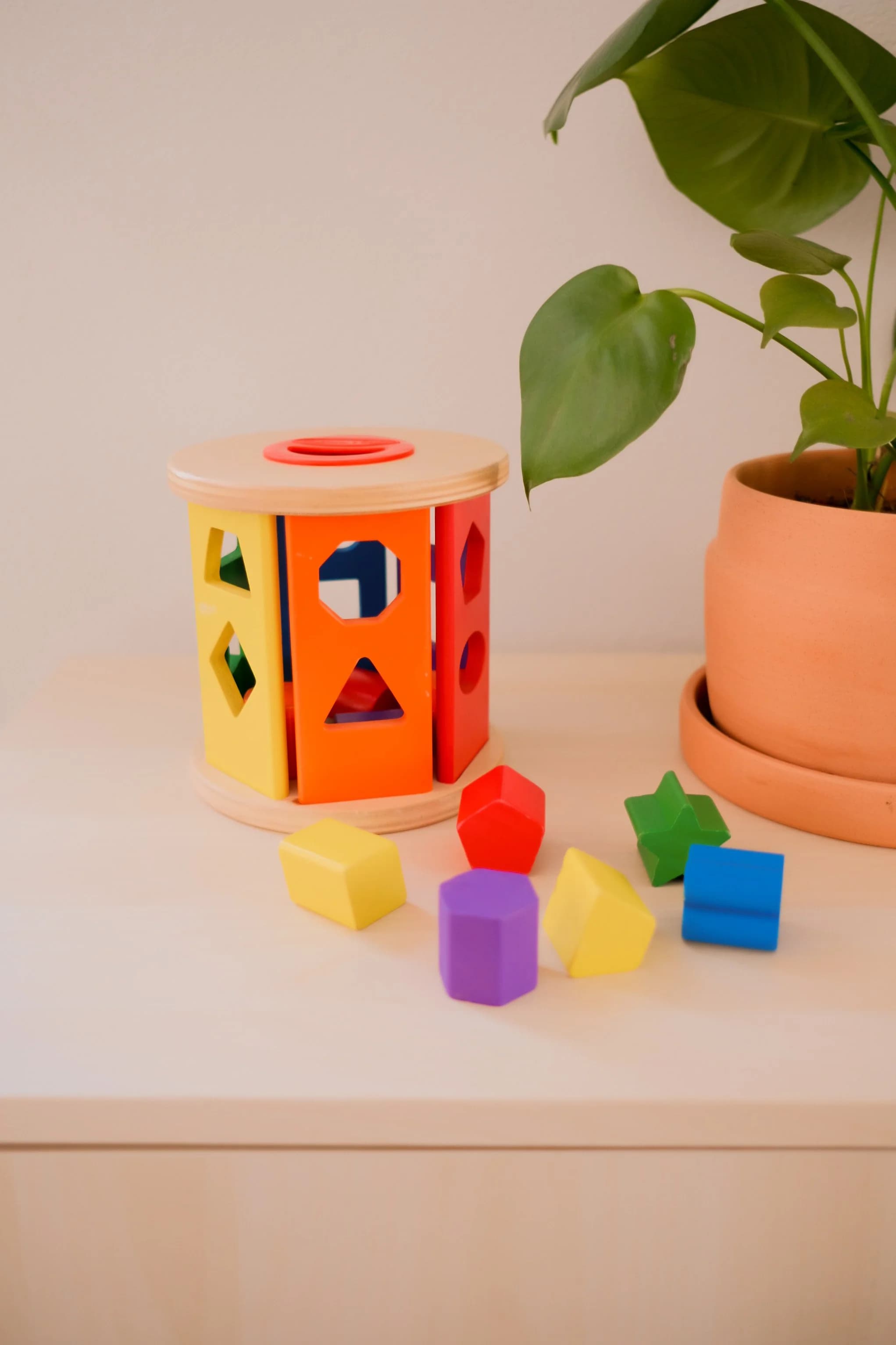 Shape Sorter