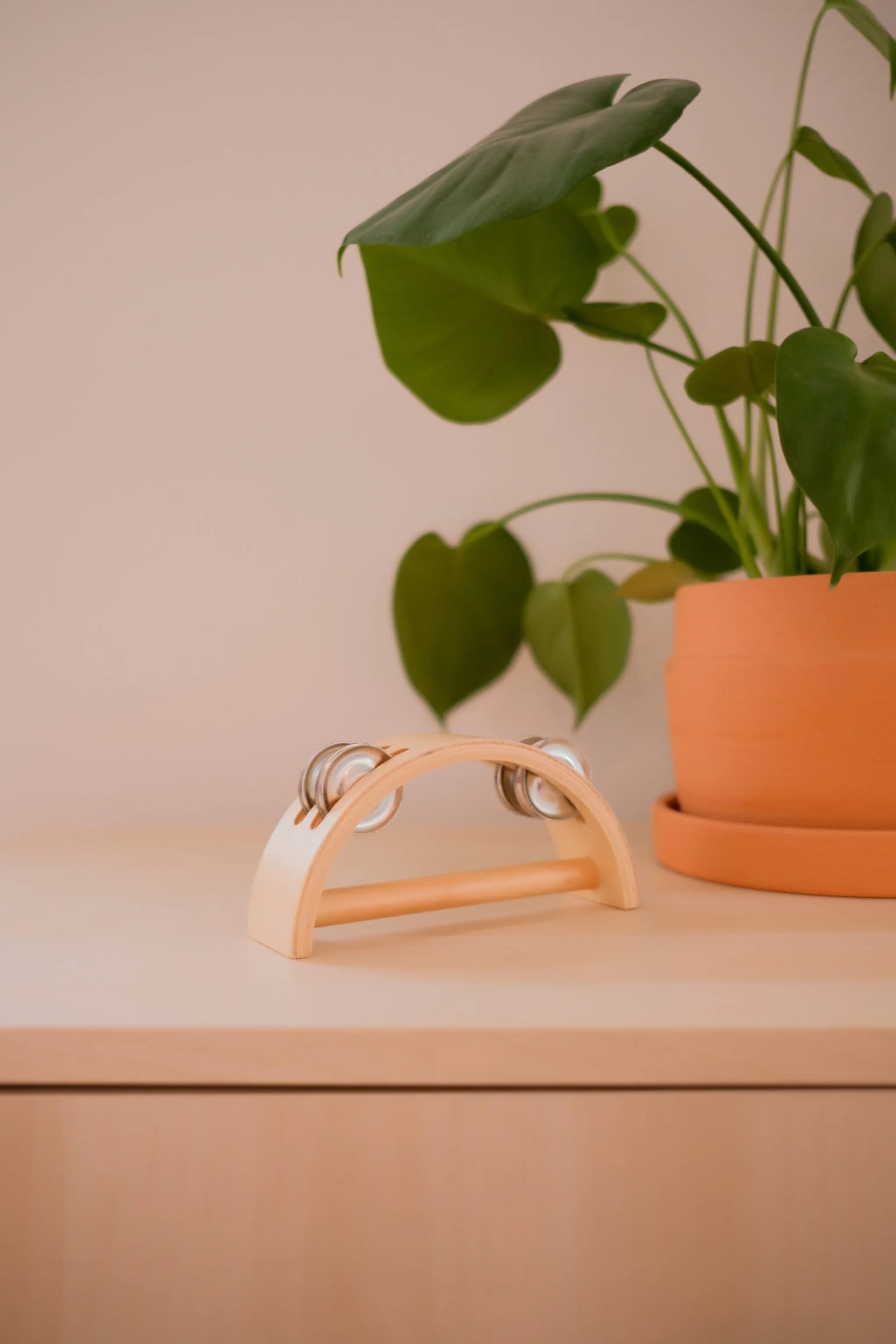 Tambourine