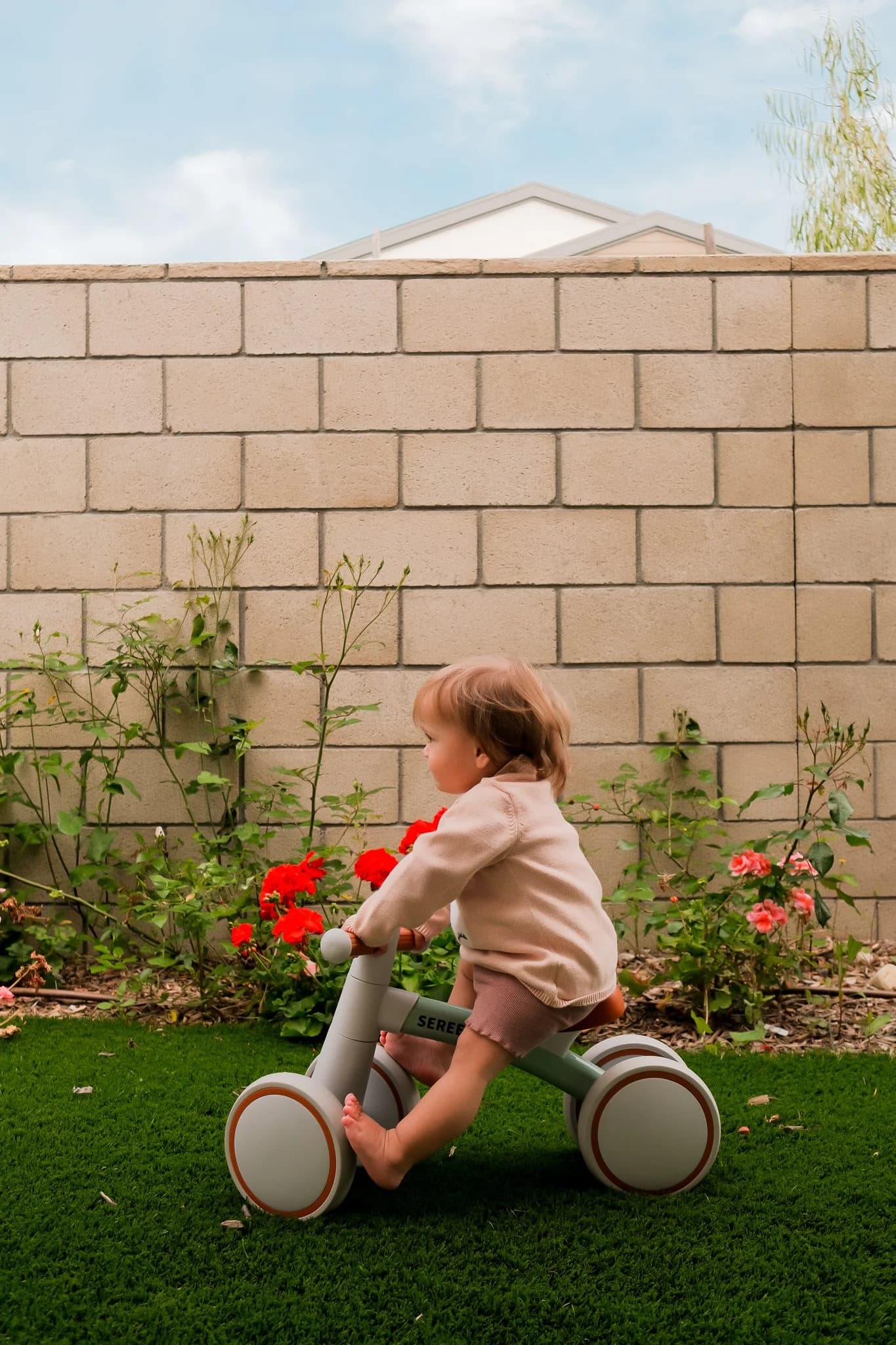 Toddler Bike