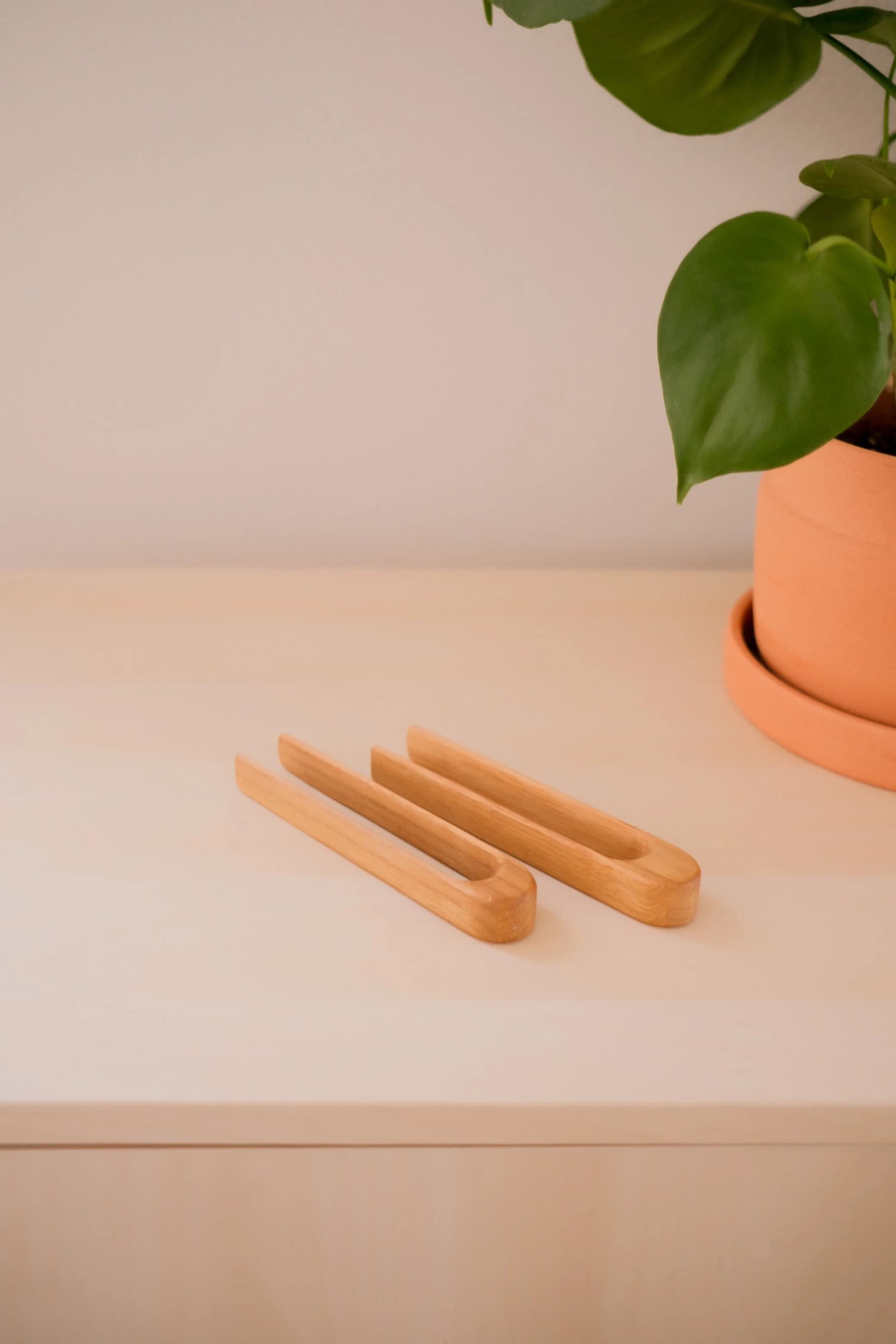 Wooden Tweezers