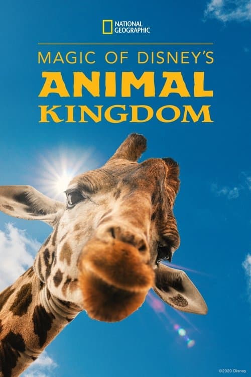Disney’s Animal Kingdom National Geographic poster