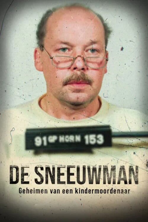 The Snowman poster