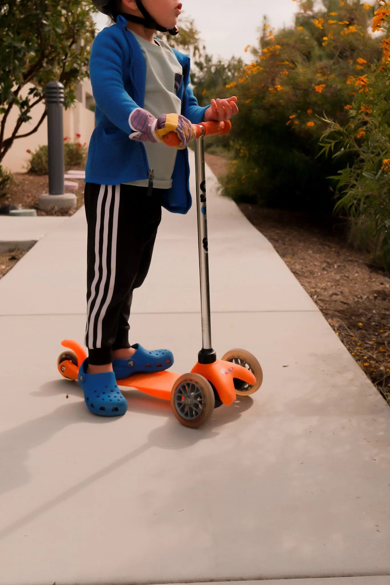 Best Toddler Scooter