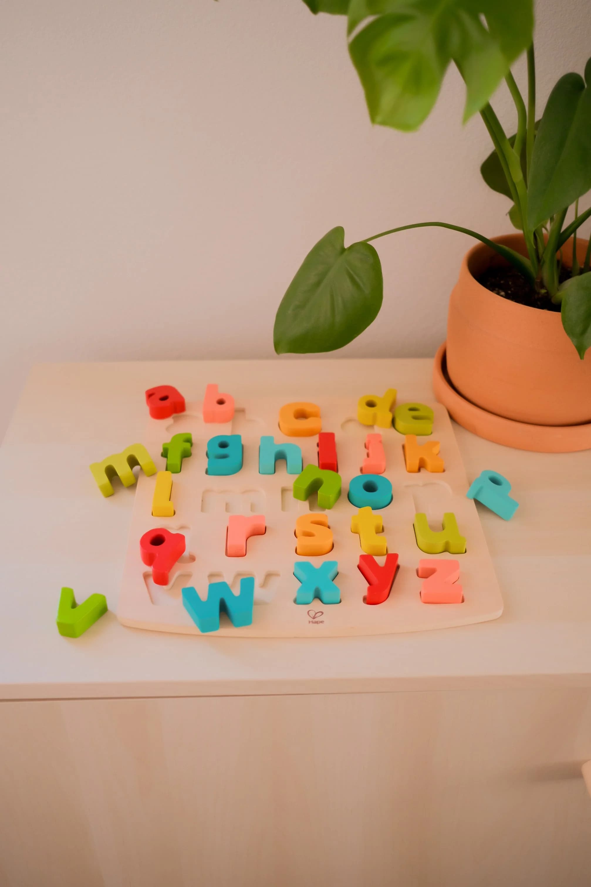 Chunky Wooden Lowercase Letters