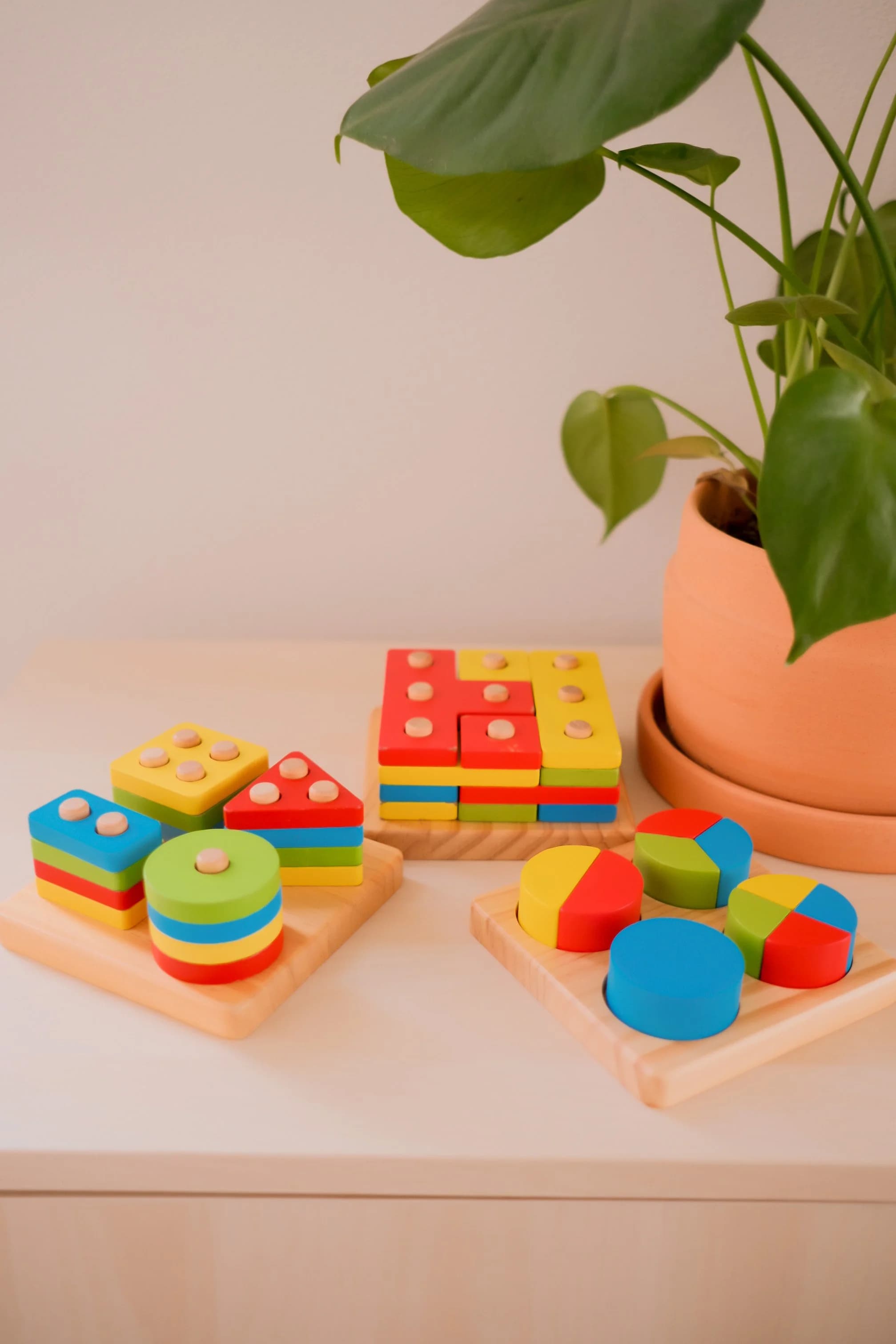 Educational Puzzle Set