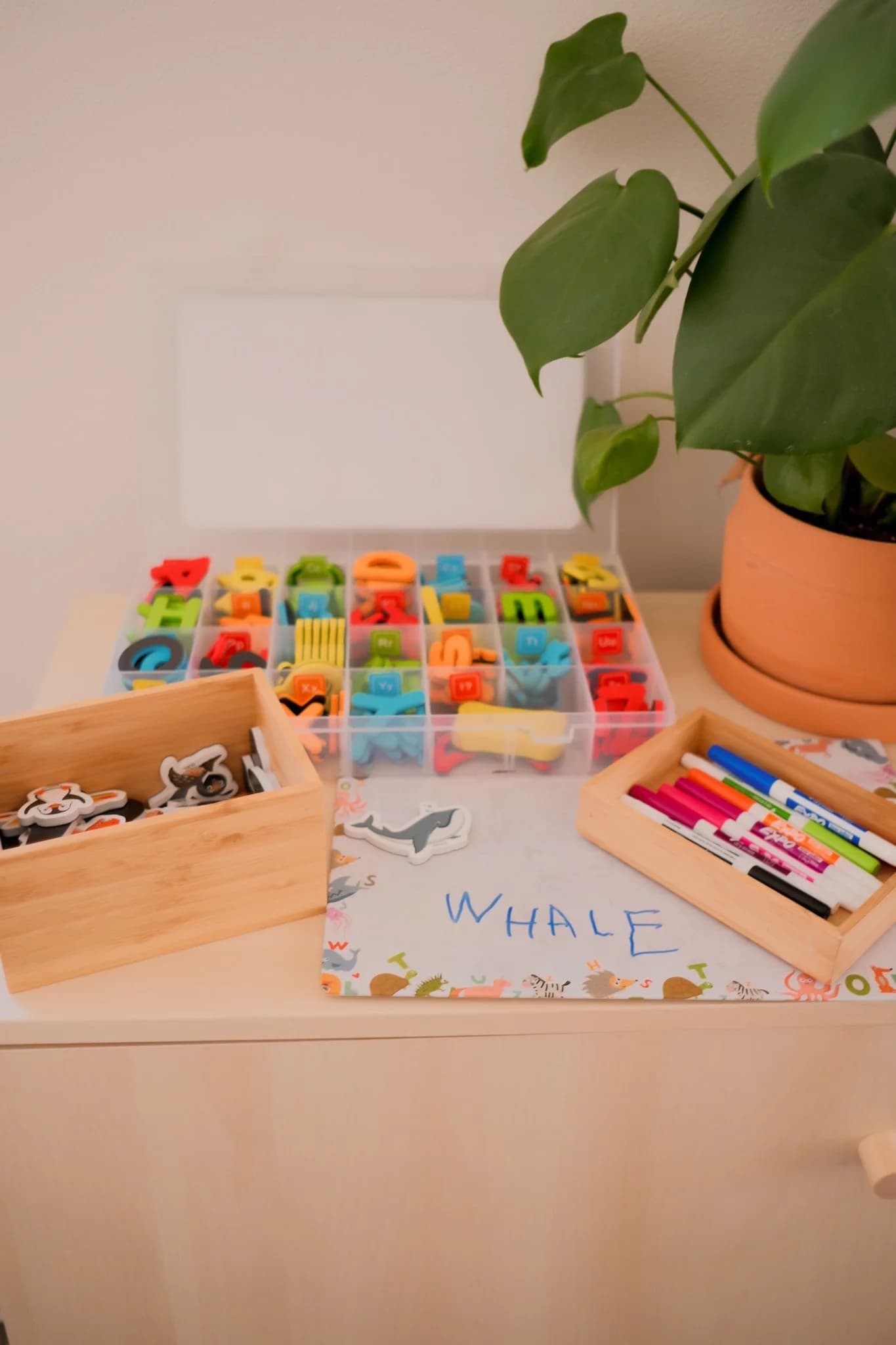Magnetic Letters & White Board
