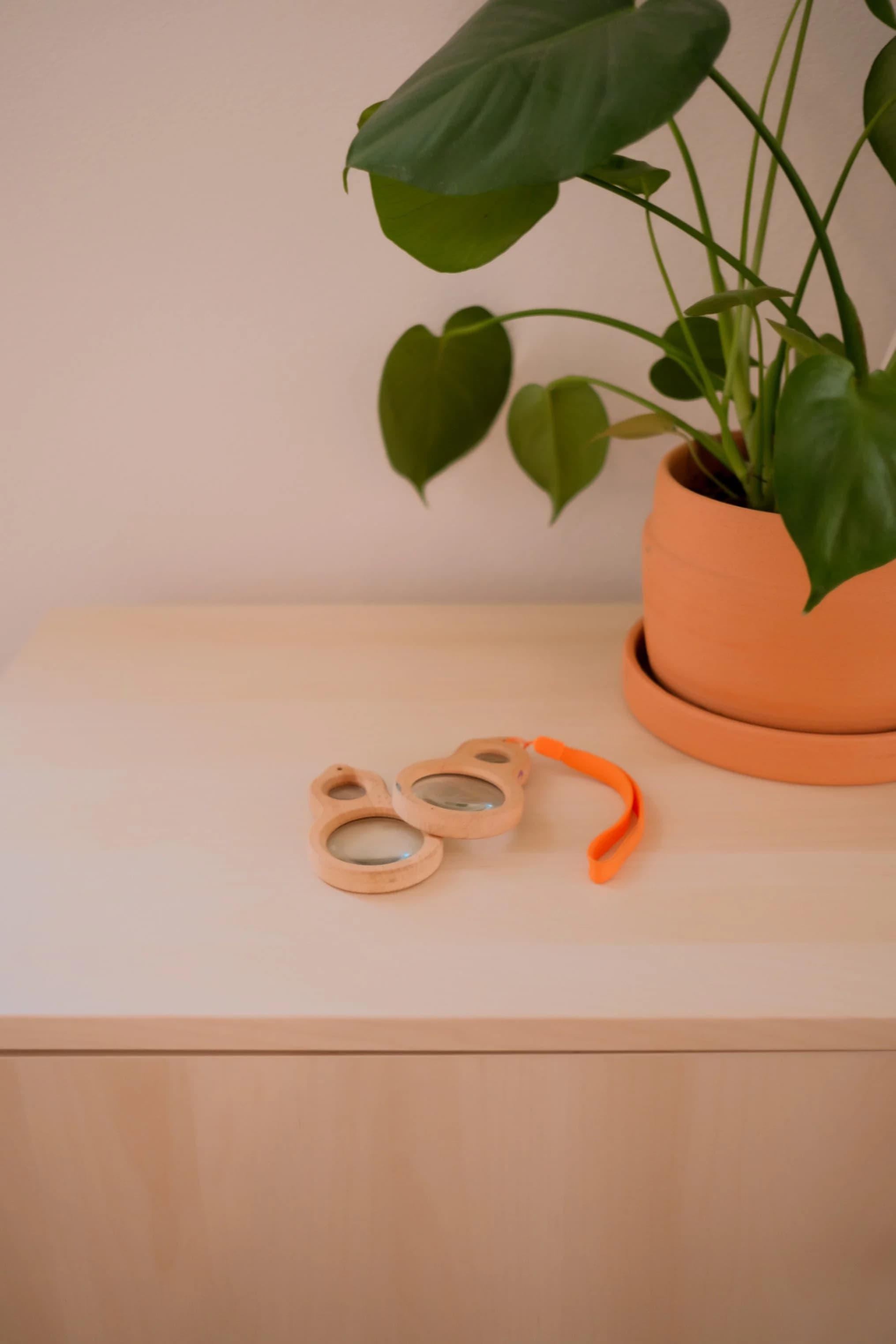 Magnifying Glasses