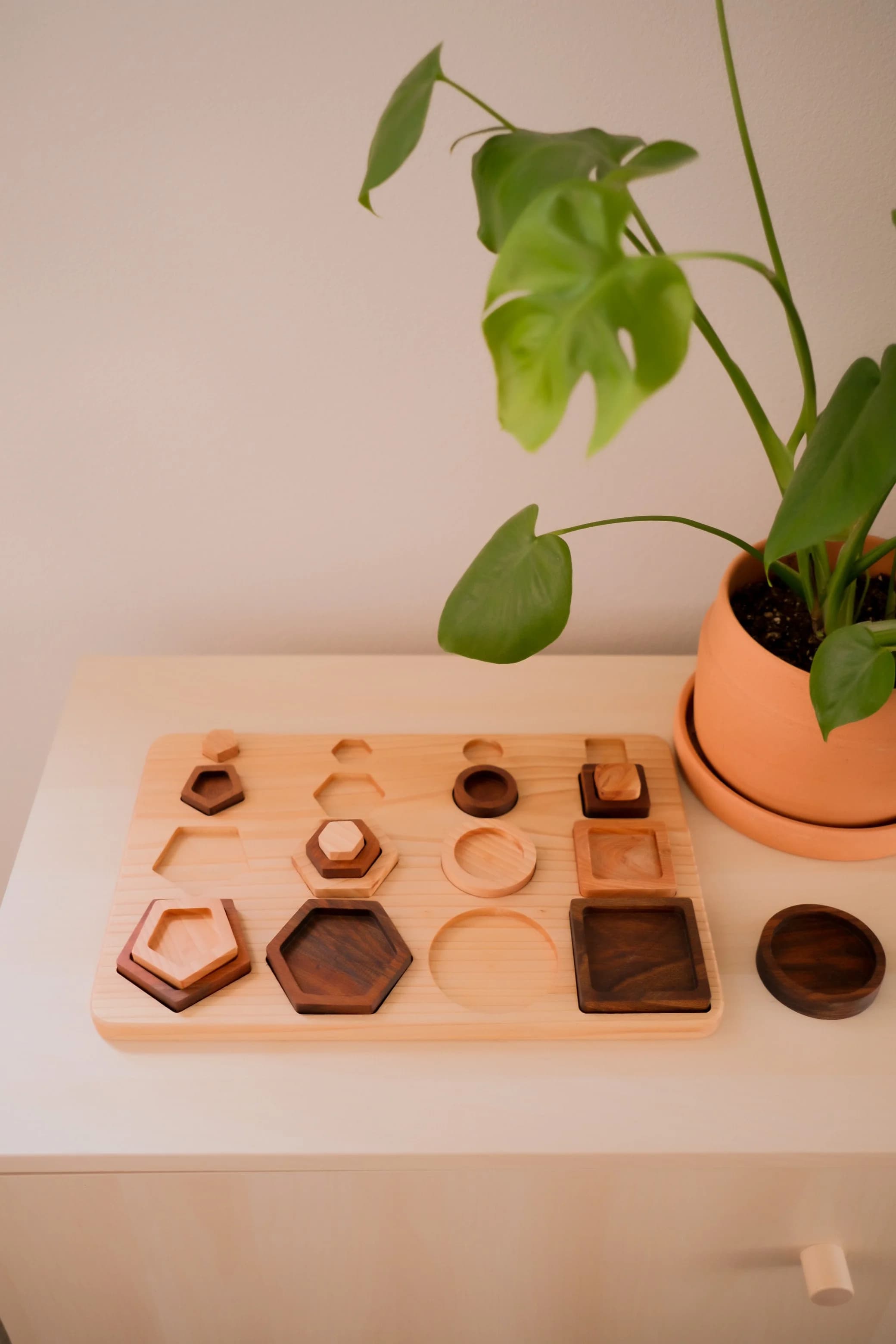 Nesting Shapes Puzzle