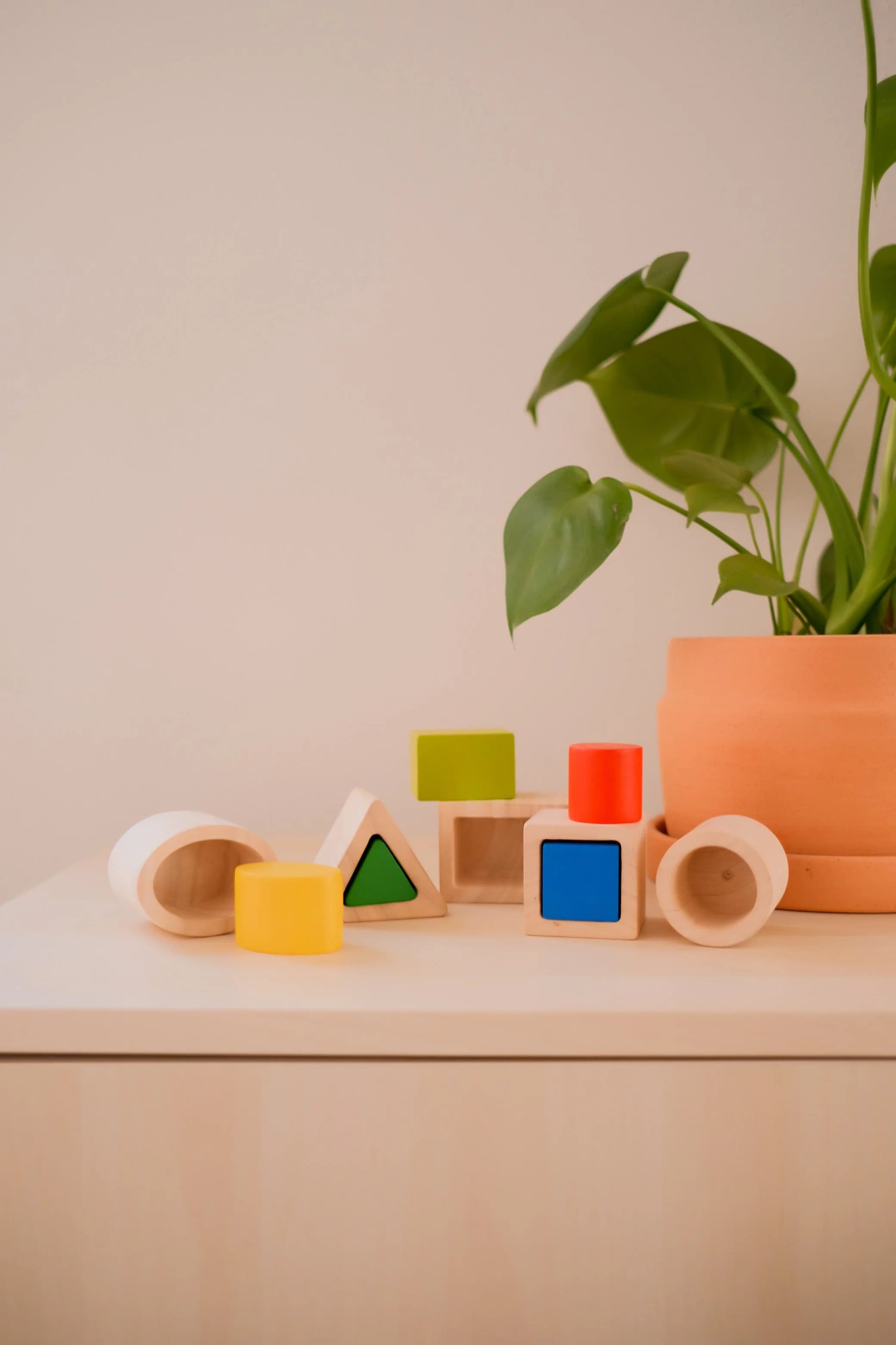 PlanToys Geo Matching Blocks