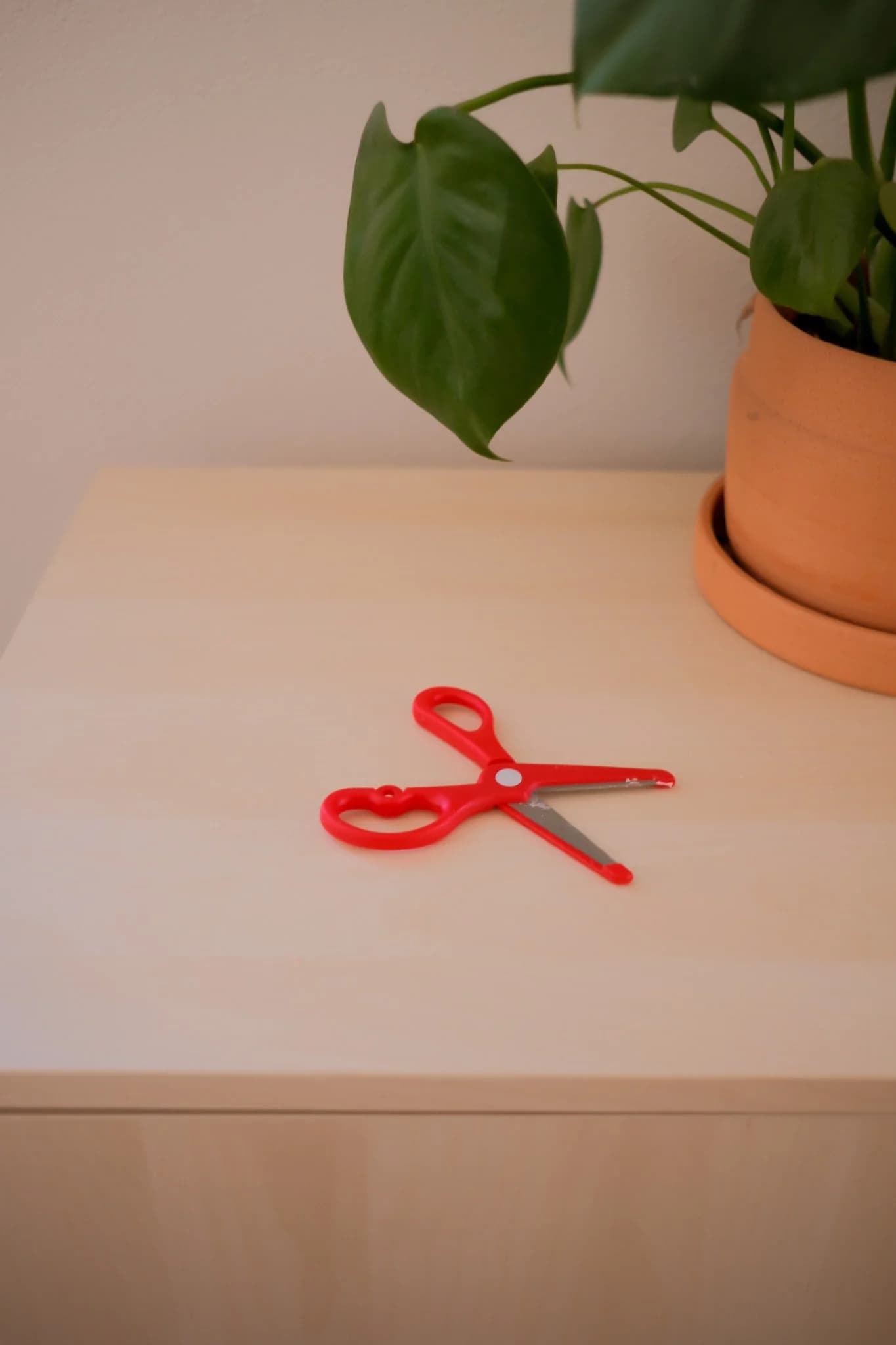 Safety Scissors