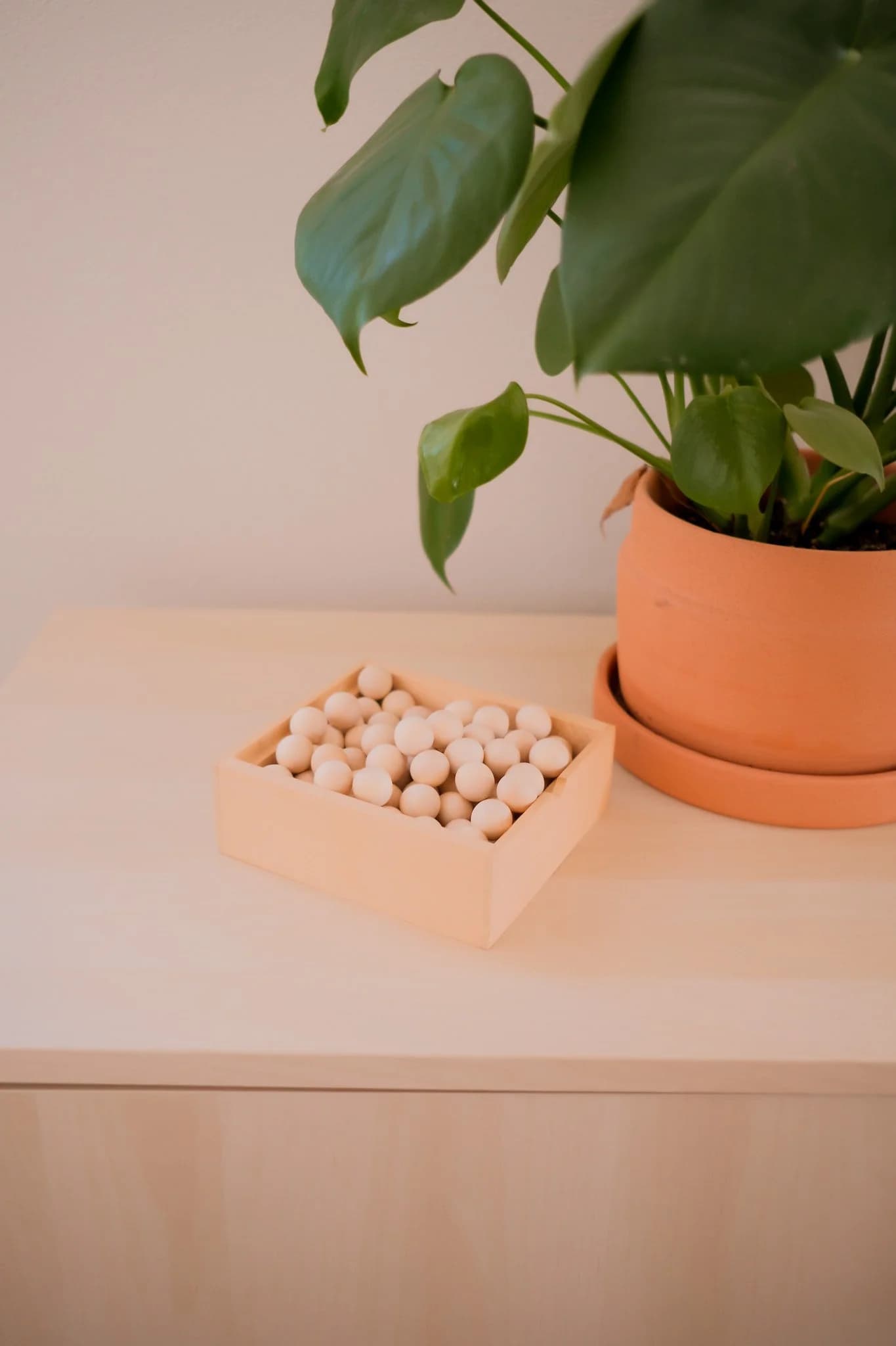 Small Wooden Balls
