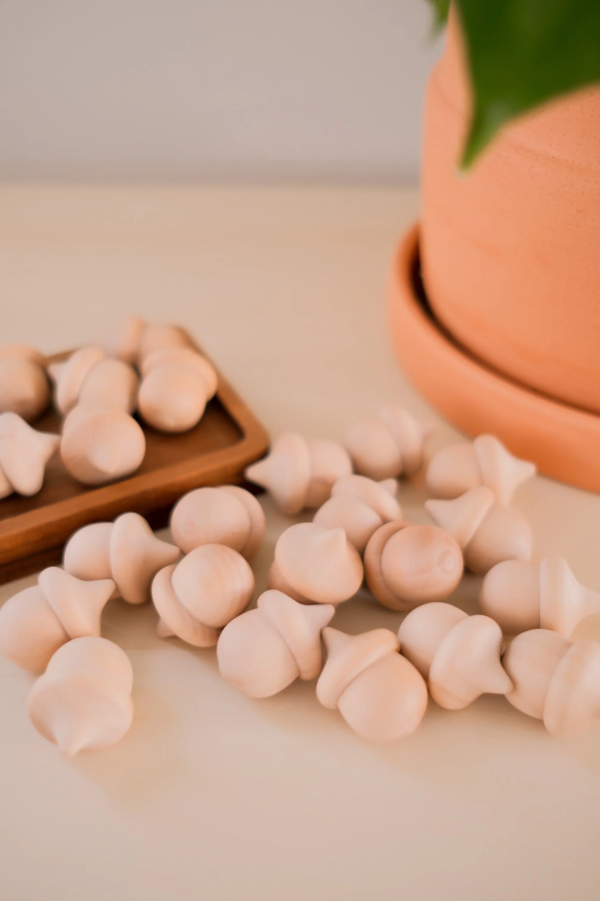 Wooden Acorns