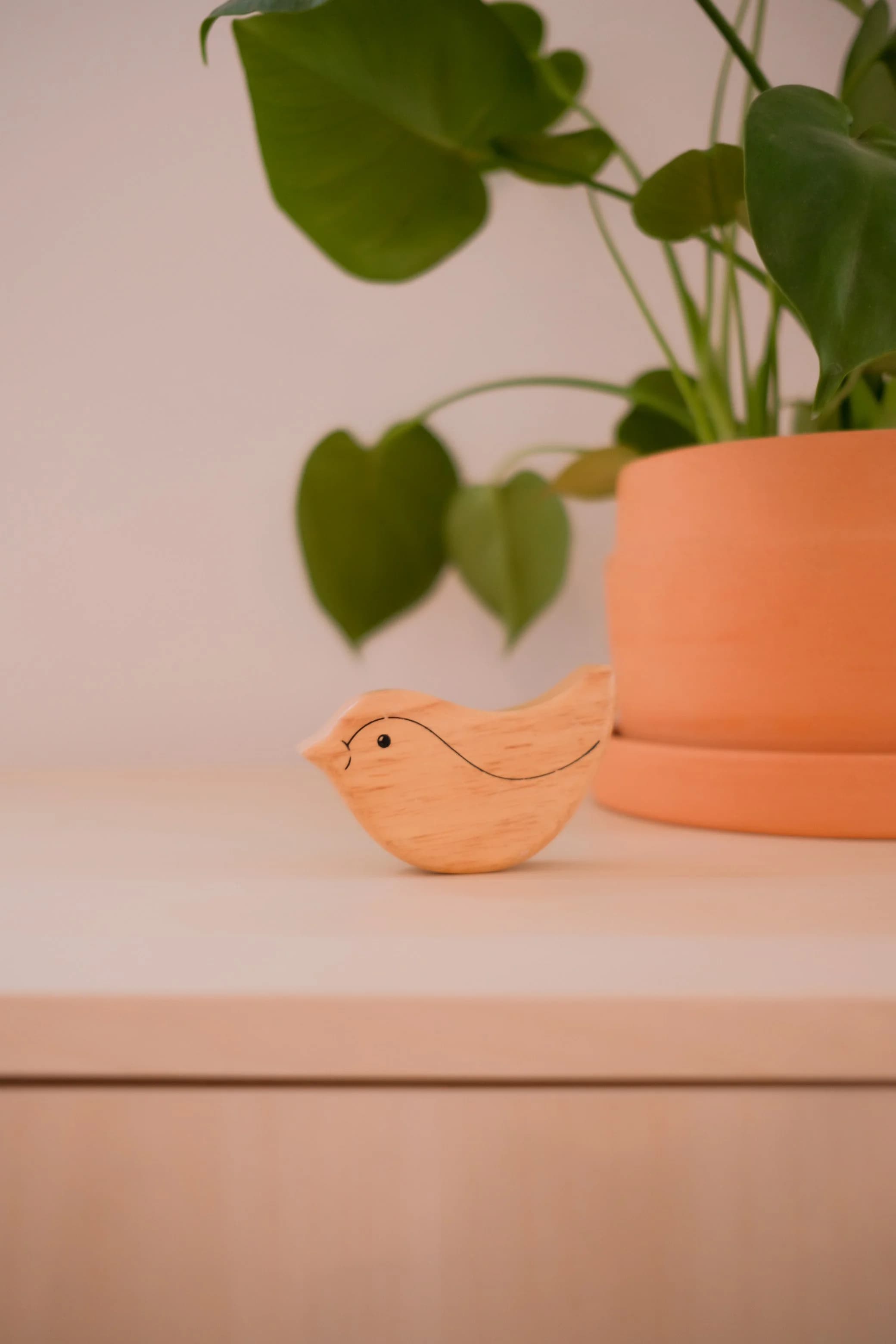 Wooden Animal Instruments